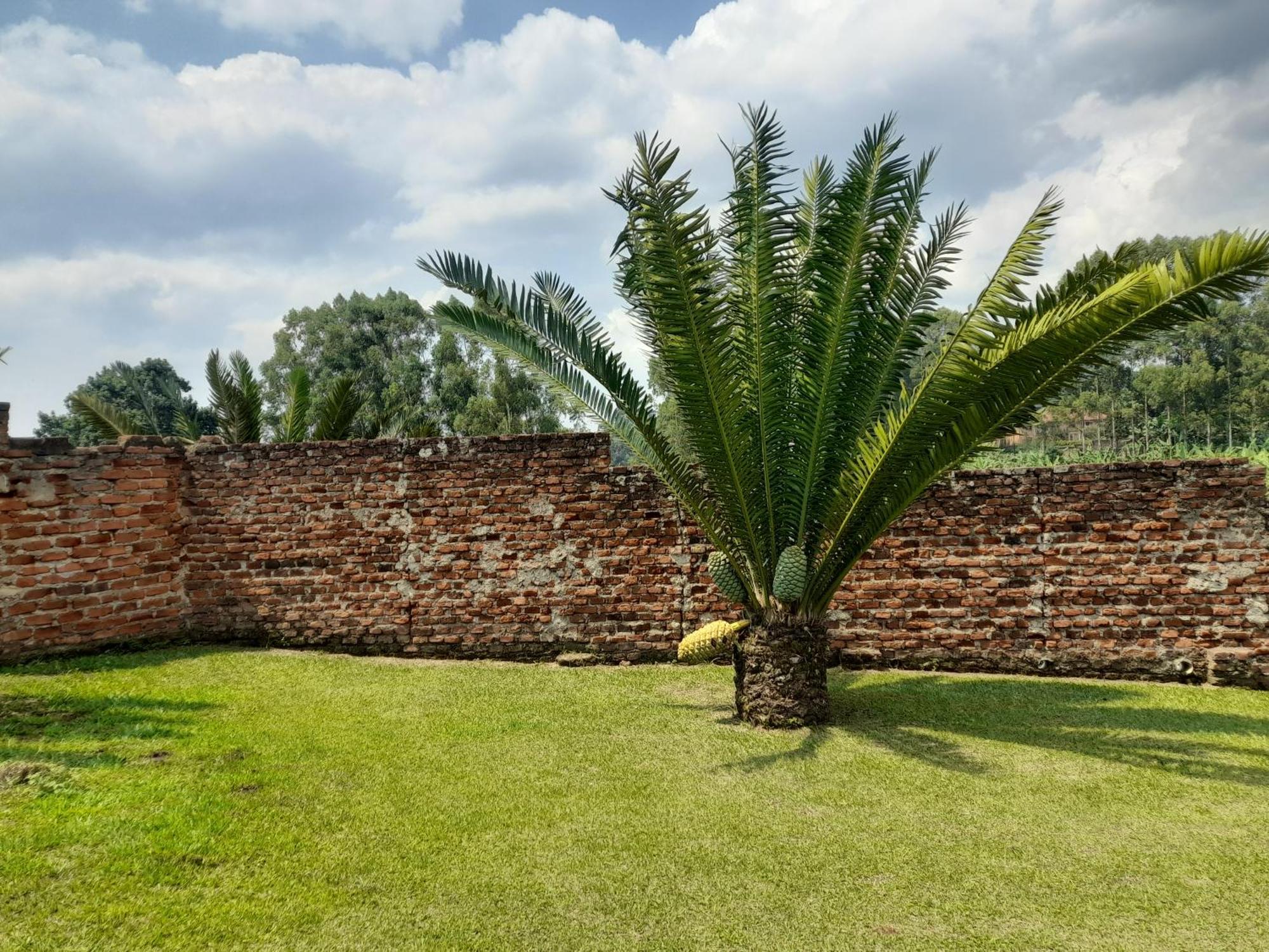 Maasai Villa Backpackers Home Fort Portal Exterior photo